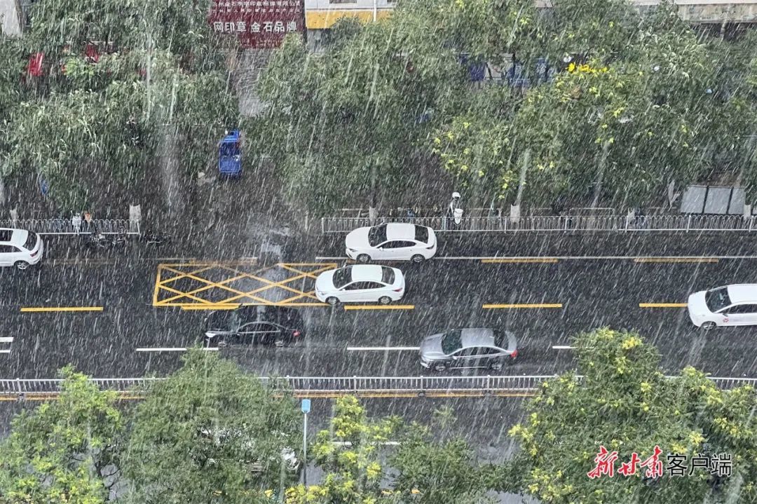 娱乐生活 第51页